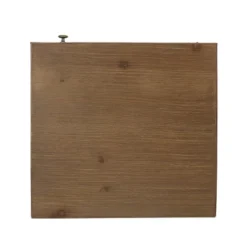 Pilster Contemporary End Table With Storage Walnut/Natural/Black - Christopher Knight Home -Ckhome2u Store GUEST 1ca7947d 4d33 494a 9765 9ce1778faaa6