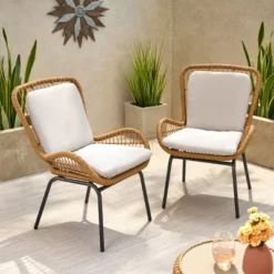 Christopher Knight Home Pabrico Wicker Club Chairs With Cushions
