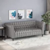 Barneyville Traditional Chesterfield Sofa Gray - Christopher Knight Home